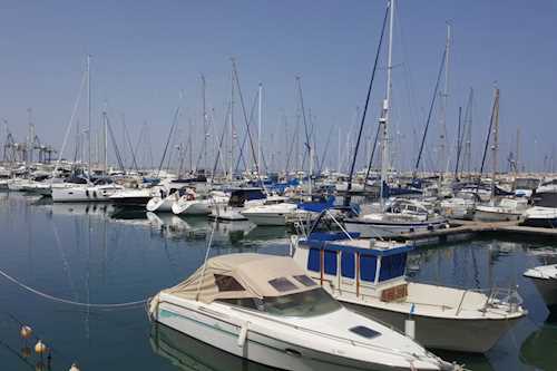Larnaka marathon starting line