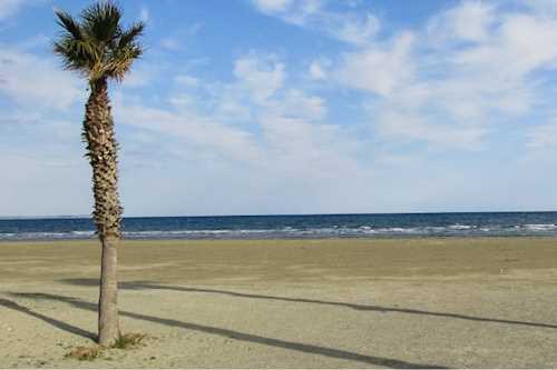 LArnaka marathon Finikudes beach 2021